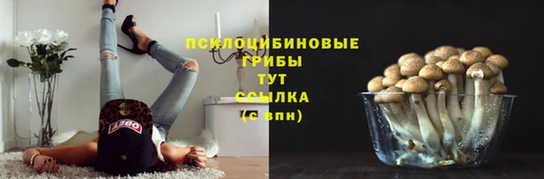 Альфа ПВП Гусев