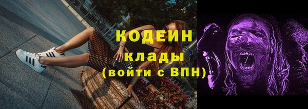 Альфа ПВП Гусев