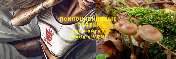 крисы Усолье-Сибирское