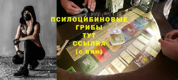 Альфа ПВП Гусев