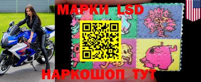 мяу мяу мука Камышлов