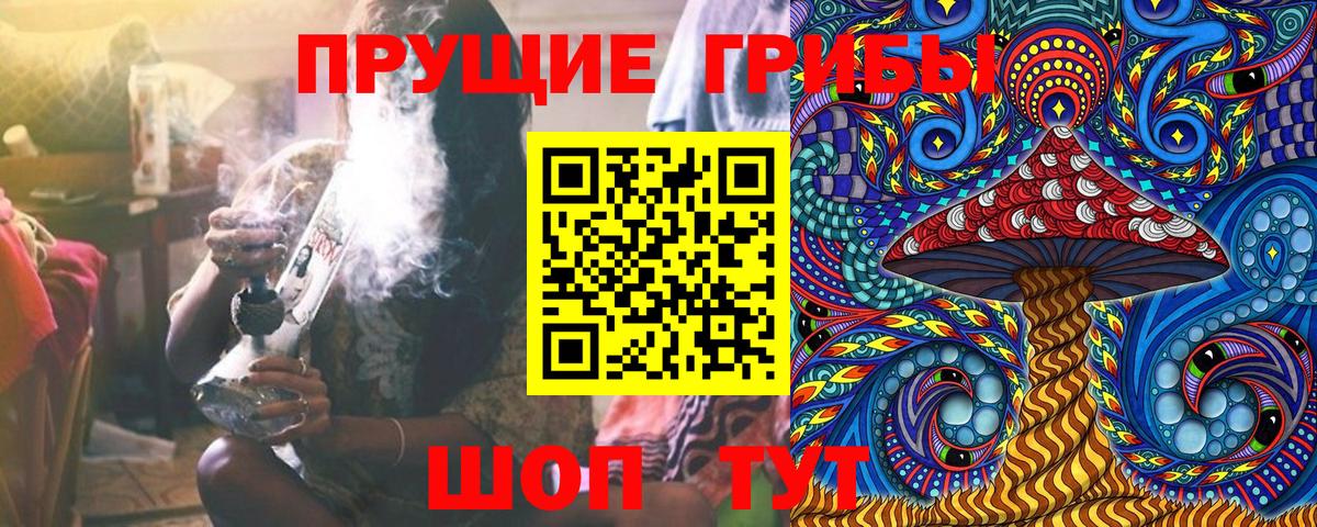 Усть-Илимск  Псилоцибиновые грибы мицелий  Вход с VPN  Галлюциногенные грибы Cubensis 